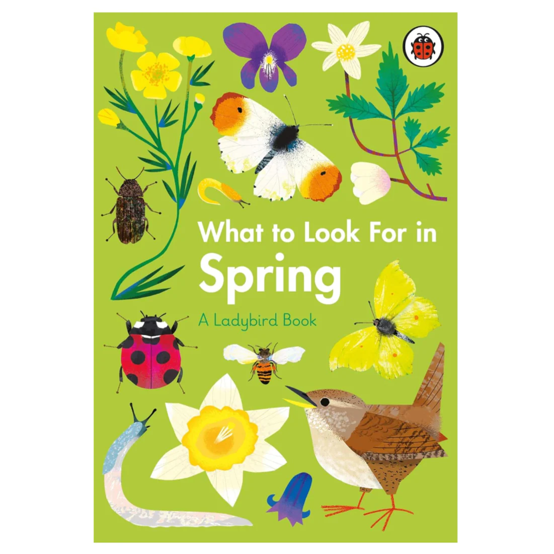 ‘What To Look For In Spring’ A Ladybird Book