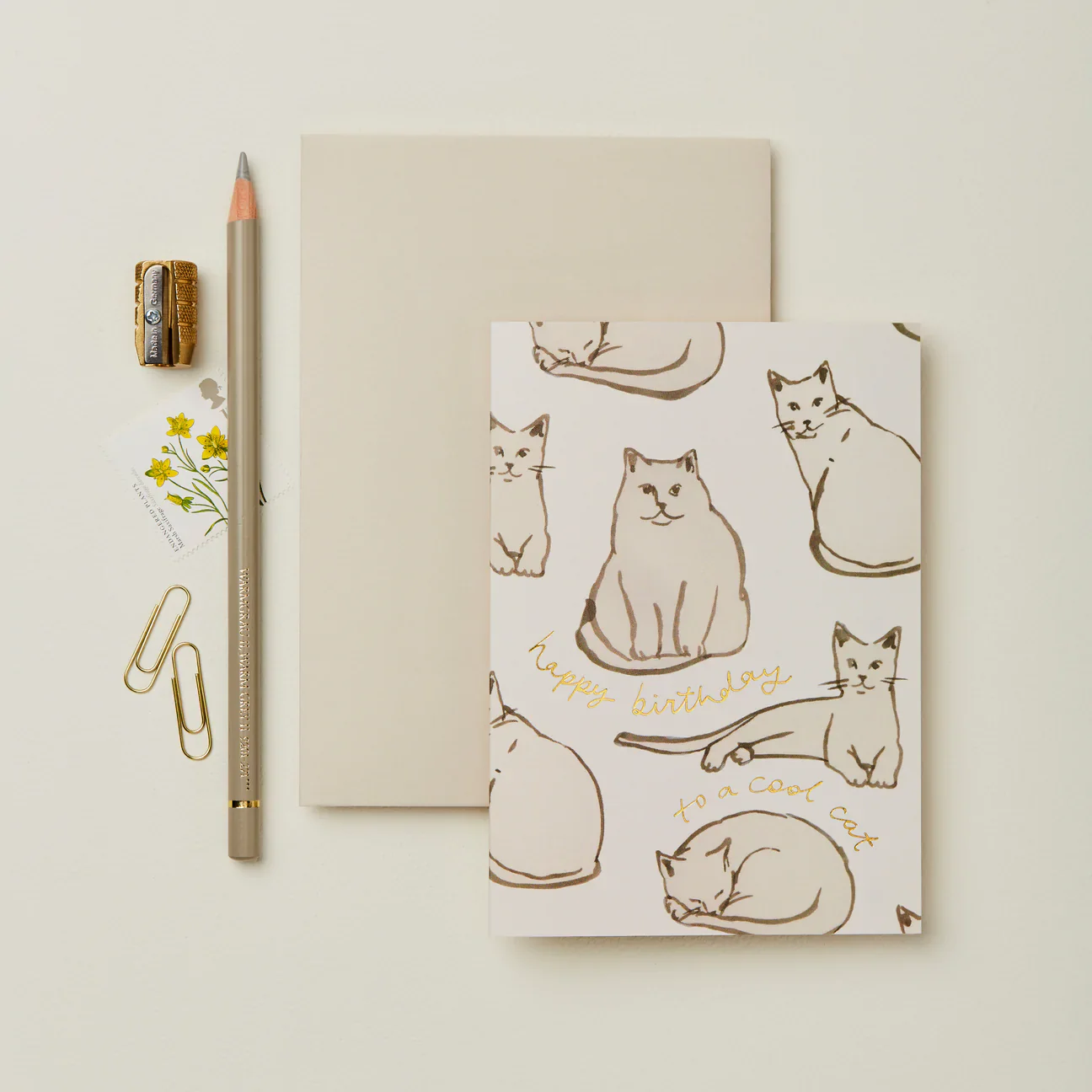 'Birthday Cool Cat' Greetings Card