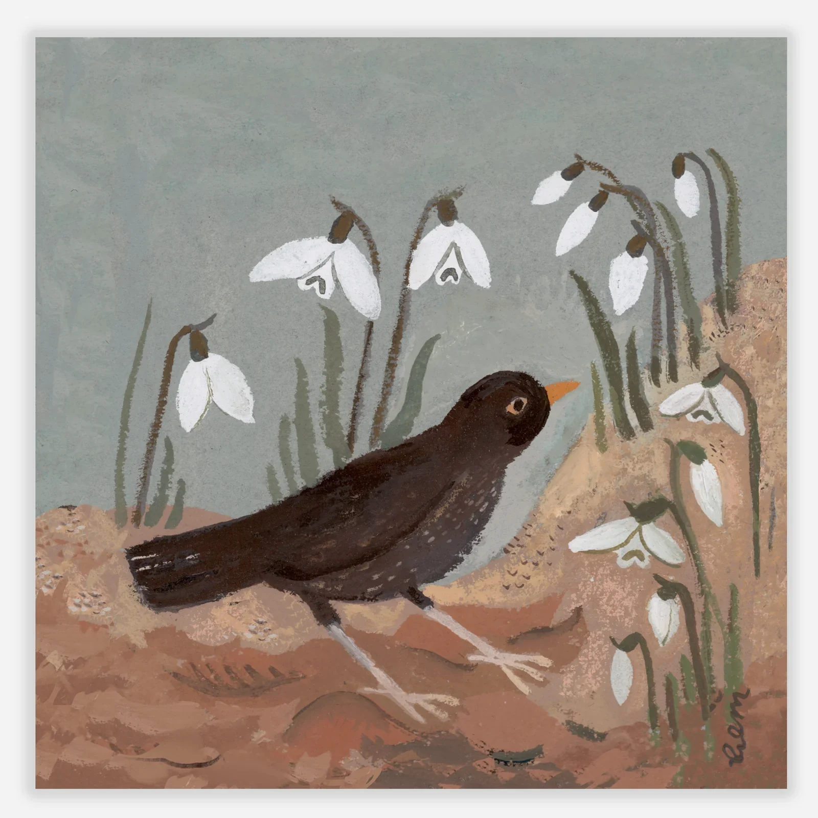 'Blackbird & Snowdrop' 20 x 20 cm Art Print
