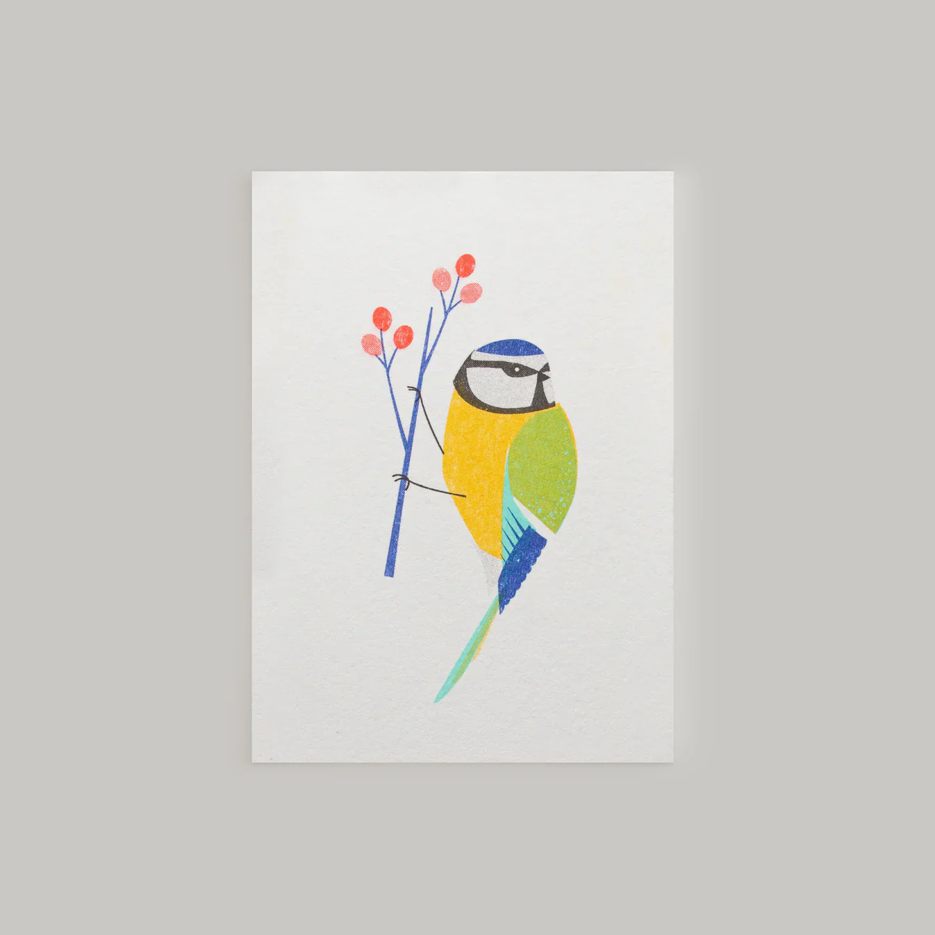 'Blue Tit' Mini Greetings Card