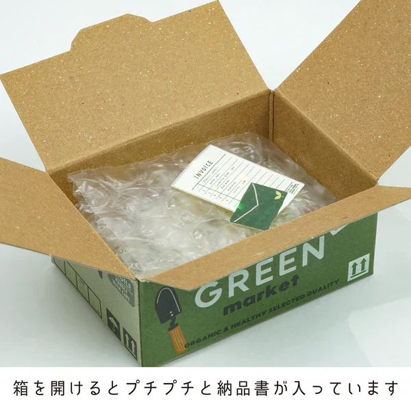 Box of Houseplant Stickers - Image 2