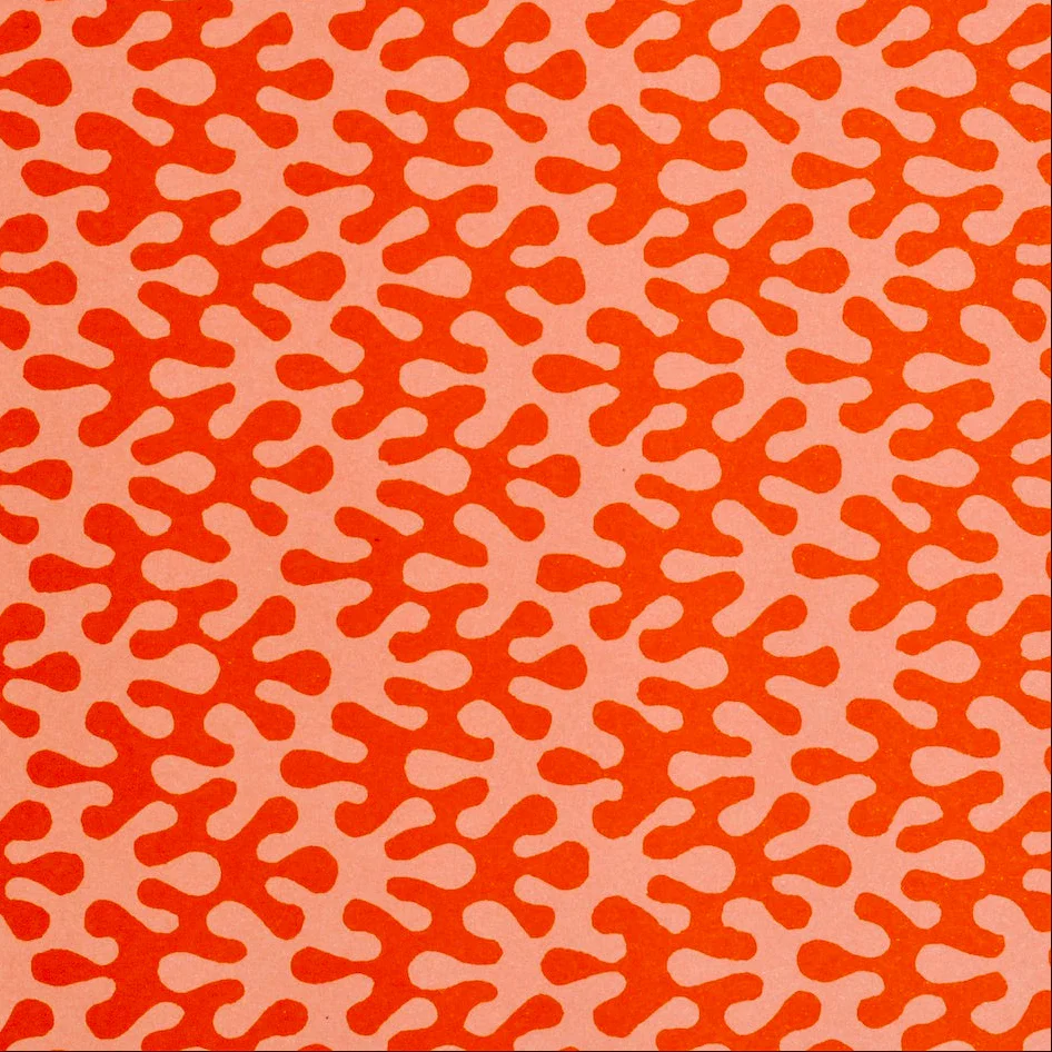 'Kelp Tangerine' Wrapping Paper