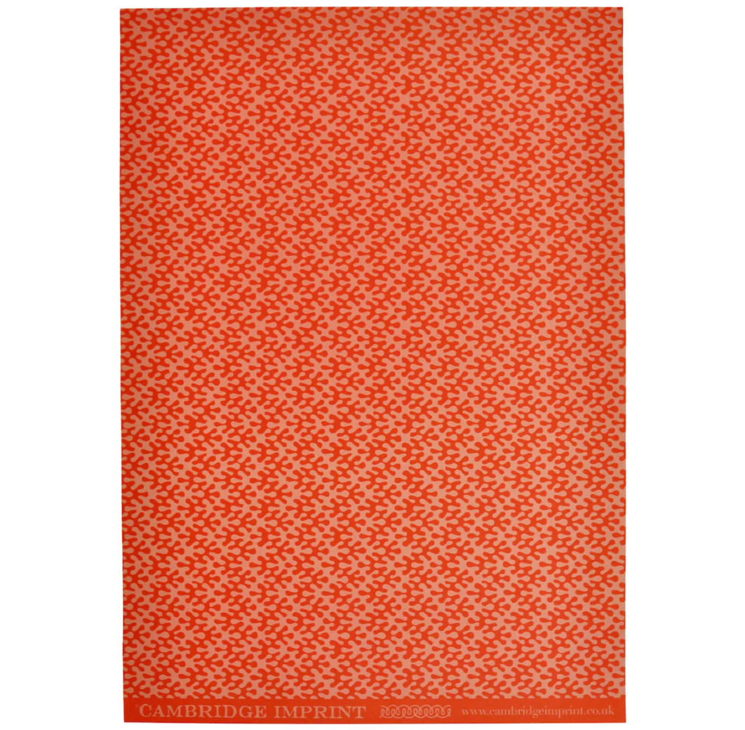 'Kelp Tangerine' Wrapping Paper - Image 3