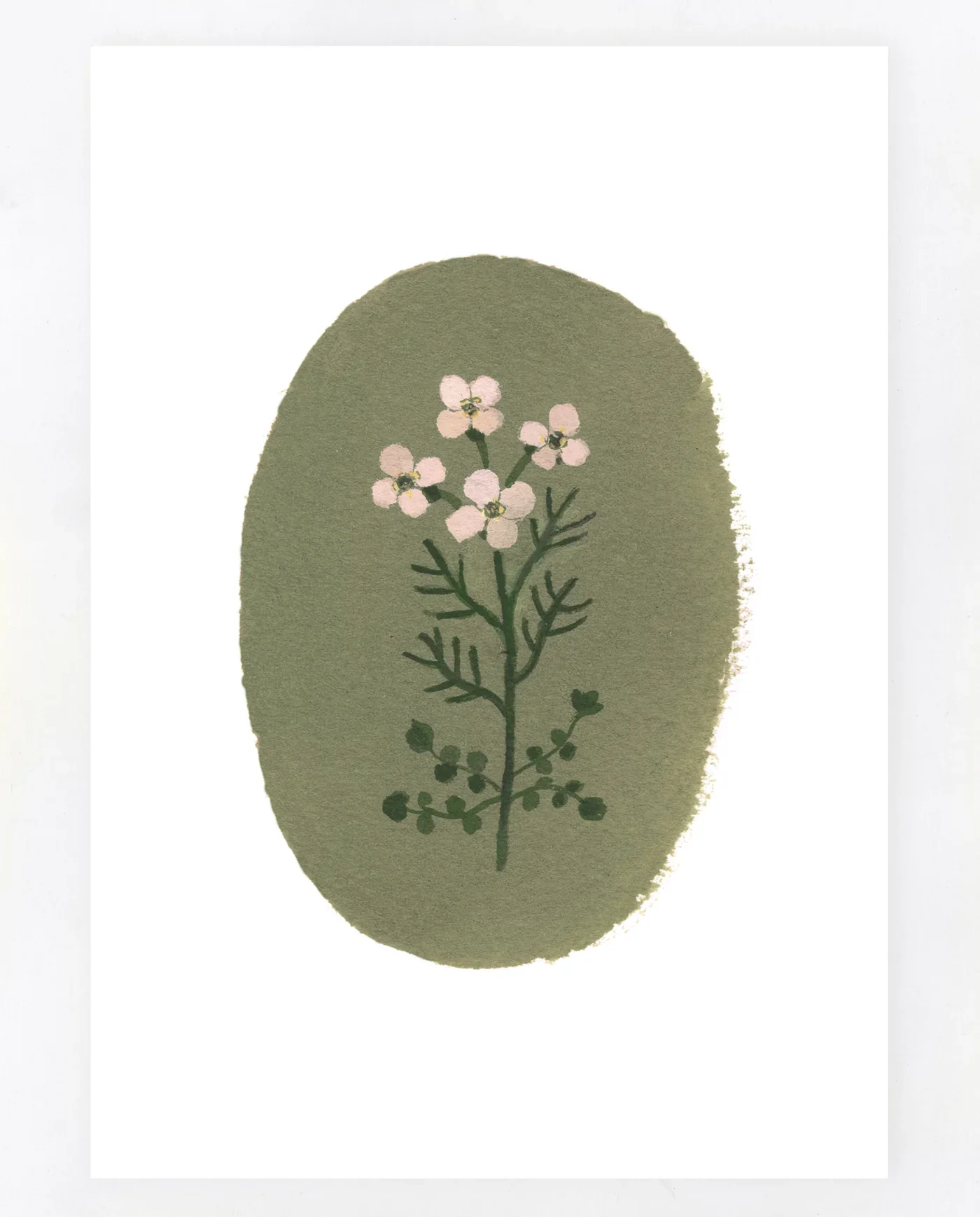 'Cuckoo Flower' Greetings Card