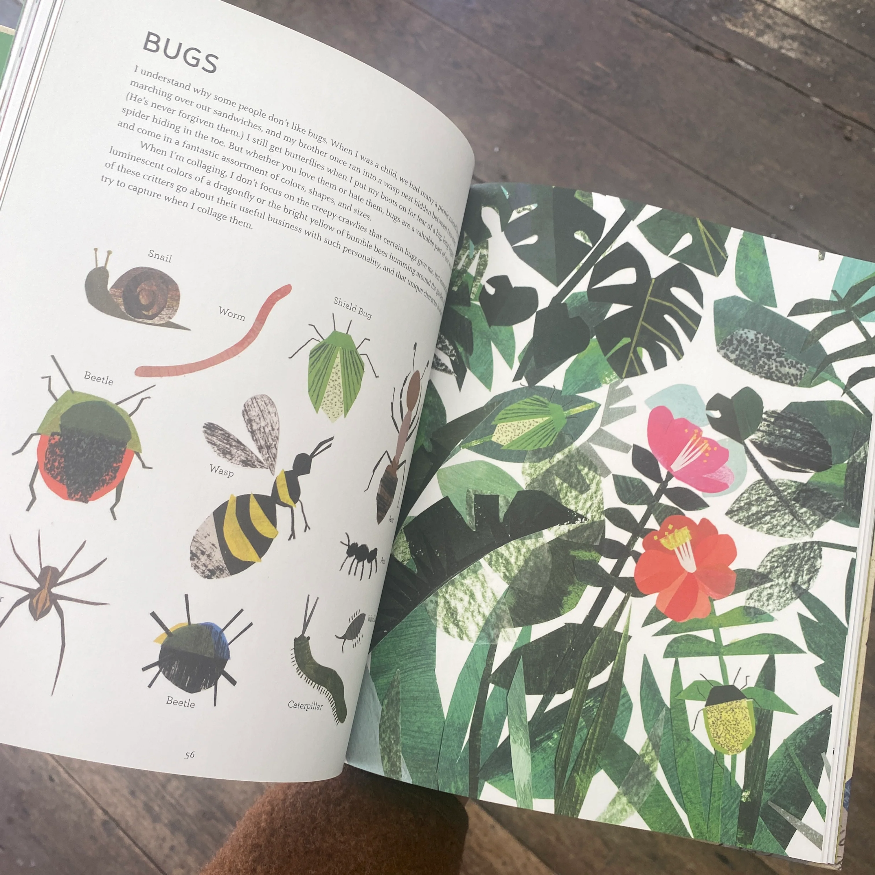 'Cut Paper Pictures' Book - Image 3