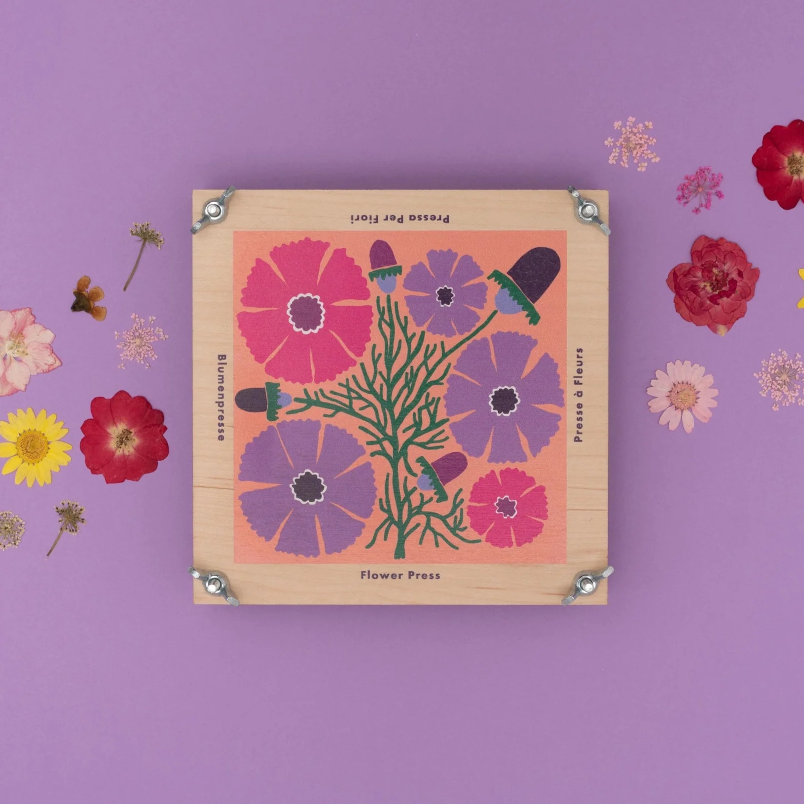 Flower Press - Cosmos - Image 2