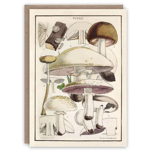 'Fungi' Greetings Card