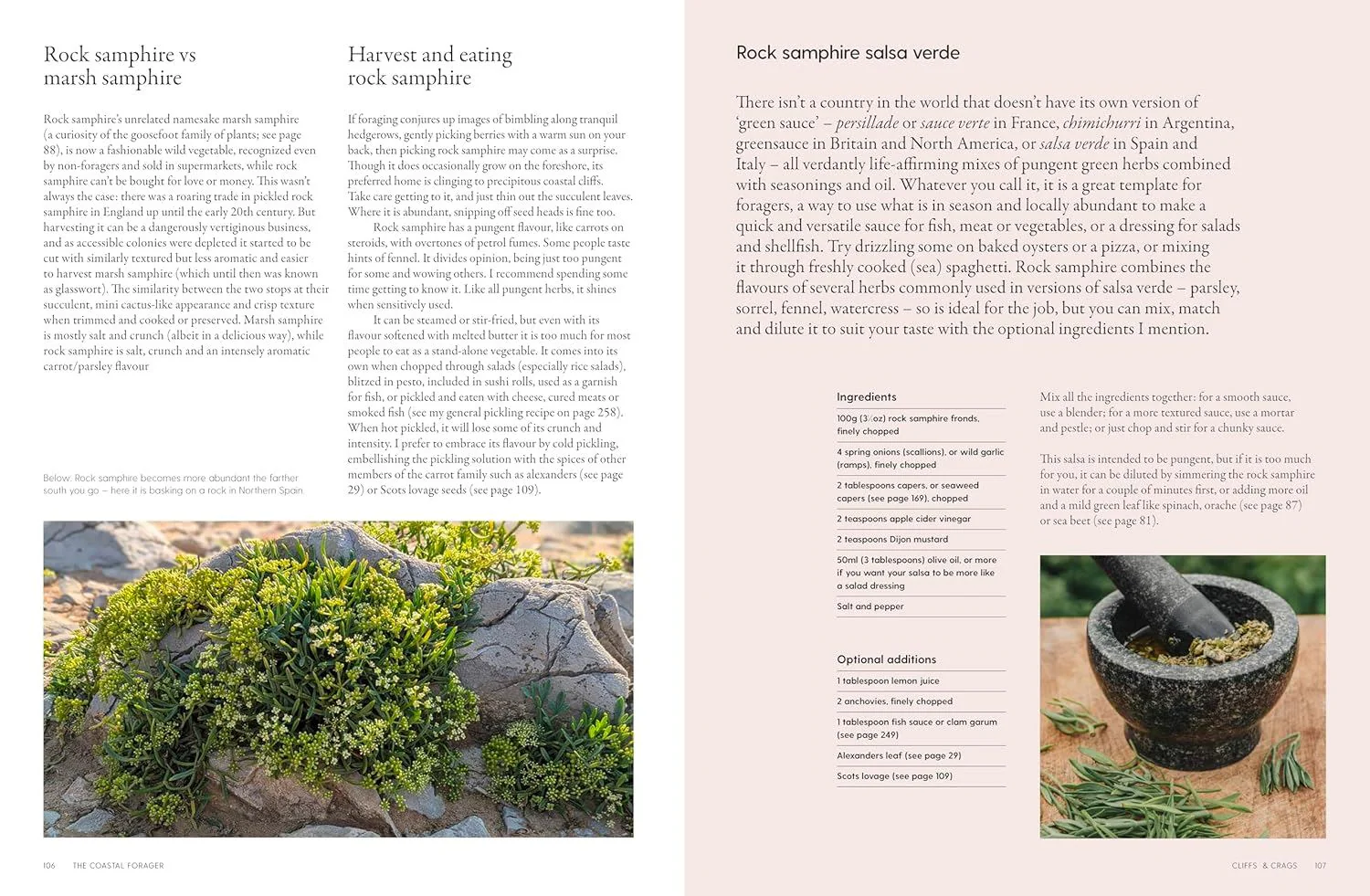 'Home: DIY Recipes for a Toxin Free, Low Waste Life' Book by Natural Harry - Image 3