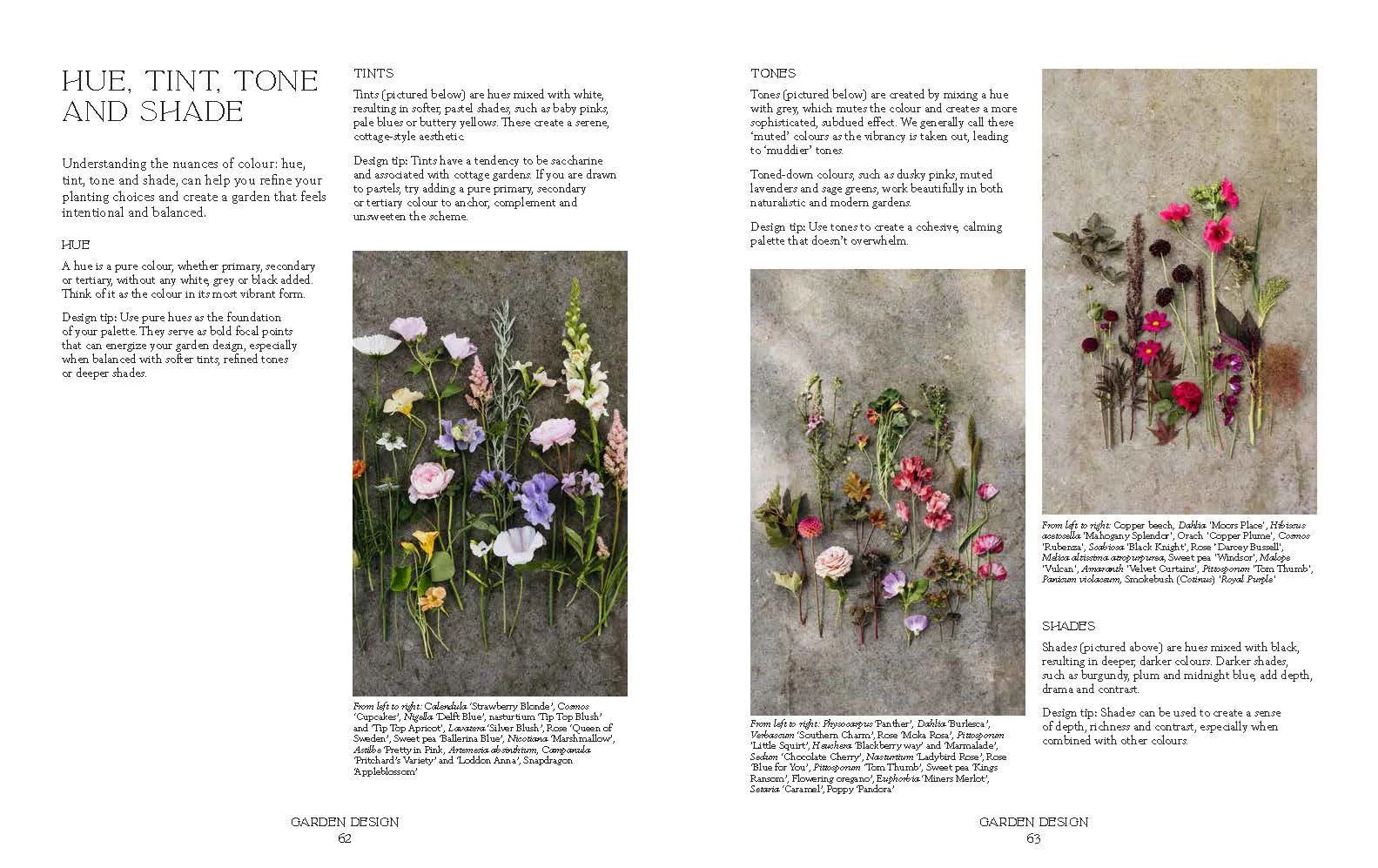 'How Does Your Garden Grow?' Book by Milli Proust - Image 3