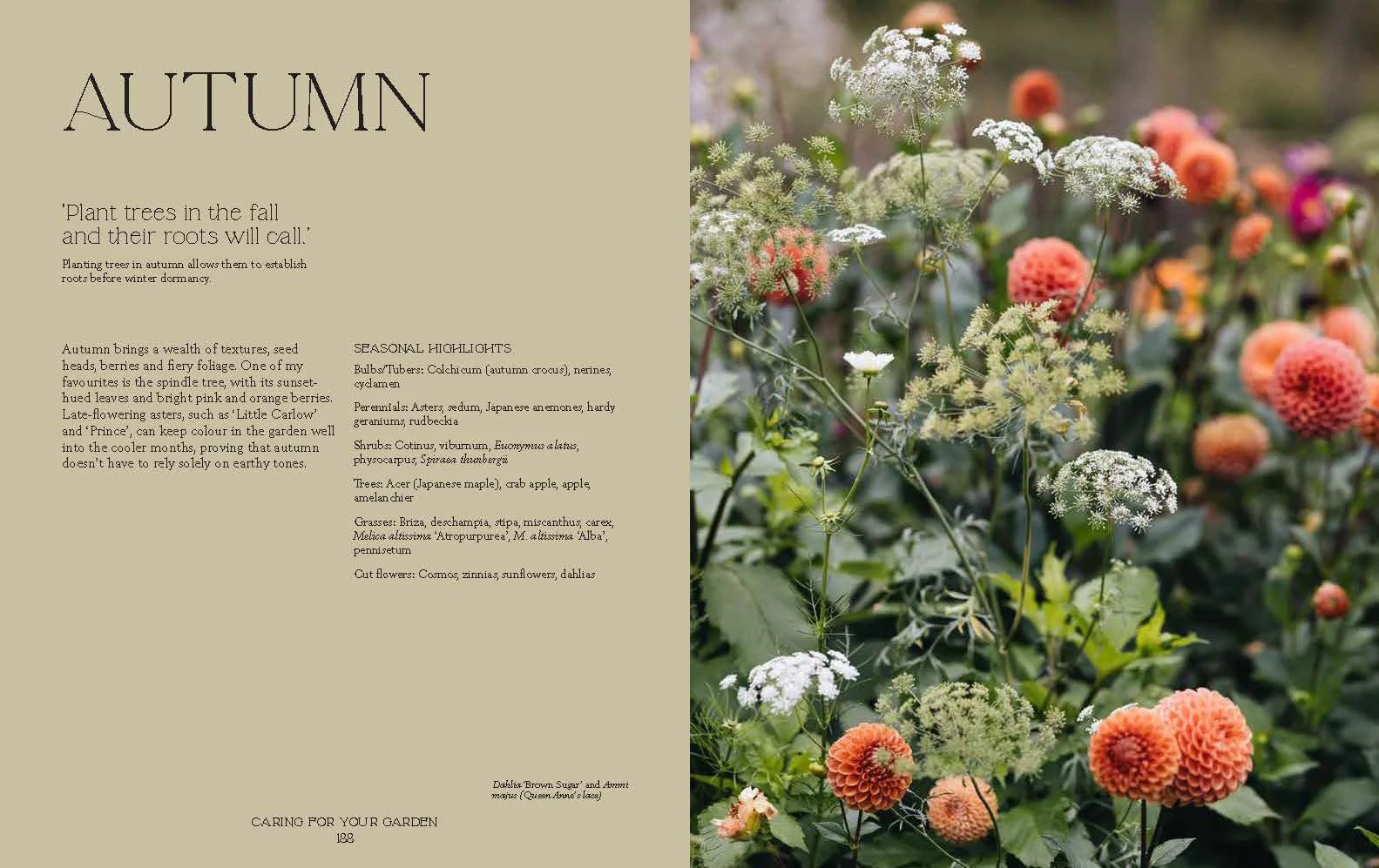 'How Does Your Garden Grow?' Book by Milli Proust - Image 4