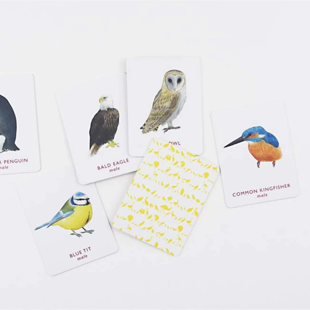 Match A Pair of Birds Memory Game - Image 4