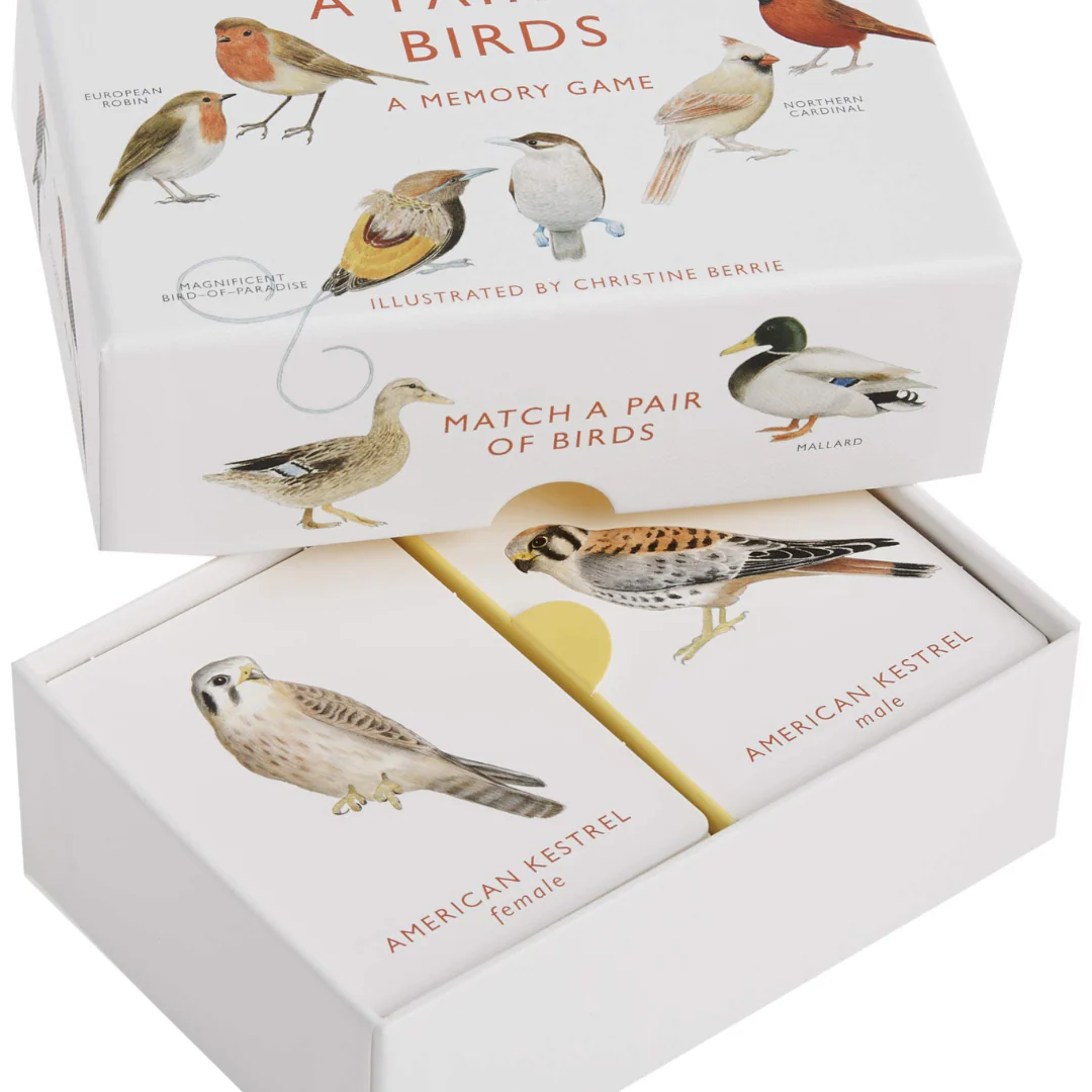 Match A Pair of Birds Memory Game - Image 5