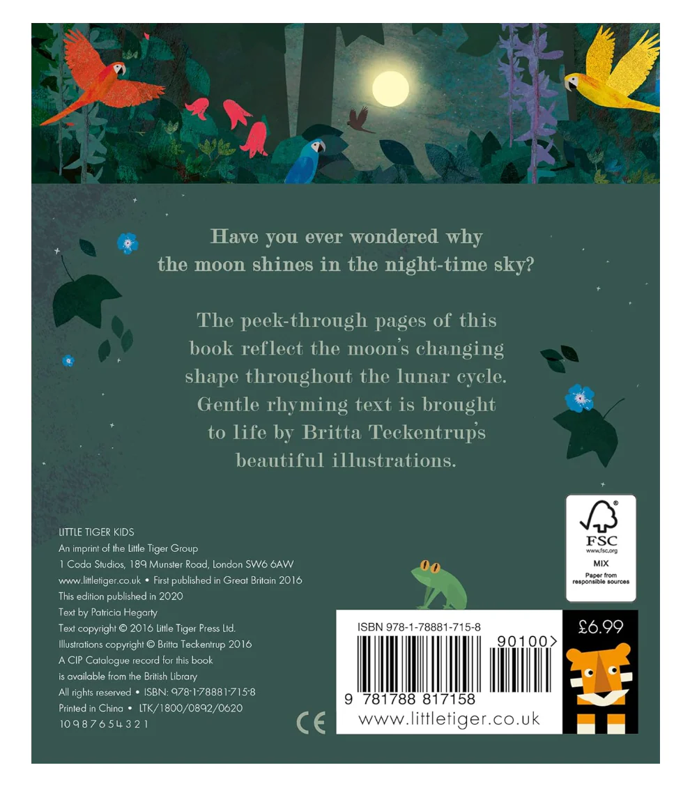 'Moon: Night-Time Around the World' Kids Book - Image 2