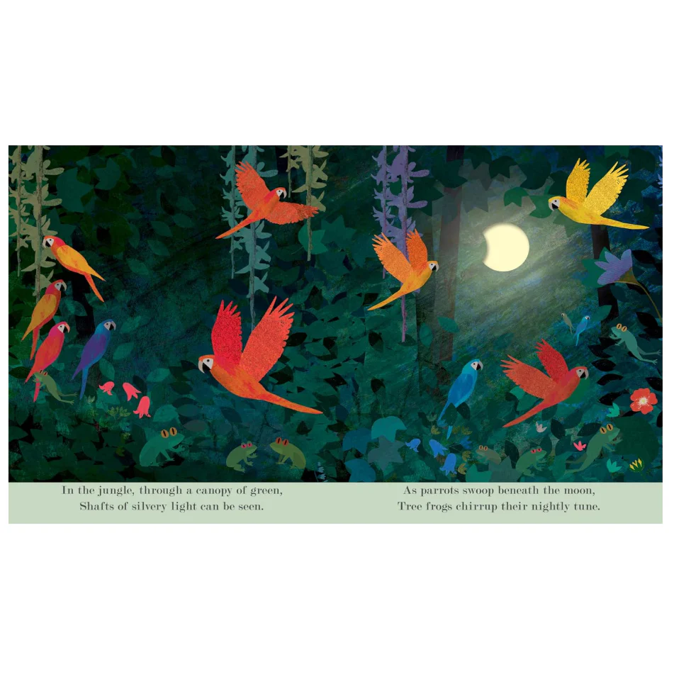 'Moon: Night-Time Around the World' Kids Book - Image 3