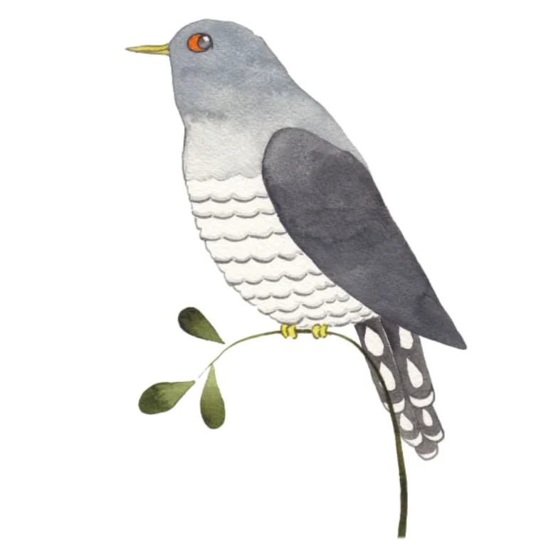 'Our Garden Birds: a Bird for Every Week of the Year' Book - Image 3