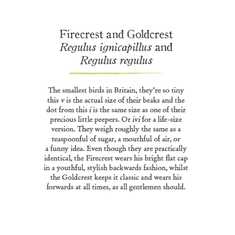 'Our Garden Birds: a Bird for Every Week of the Year' Book - Image 4