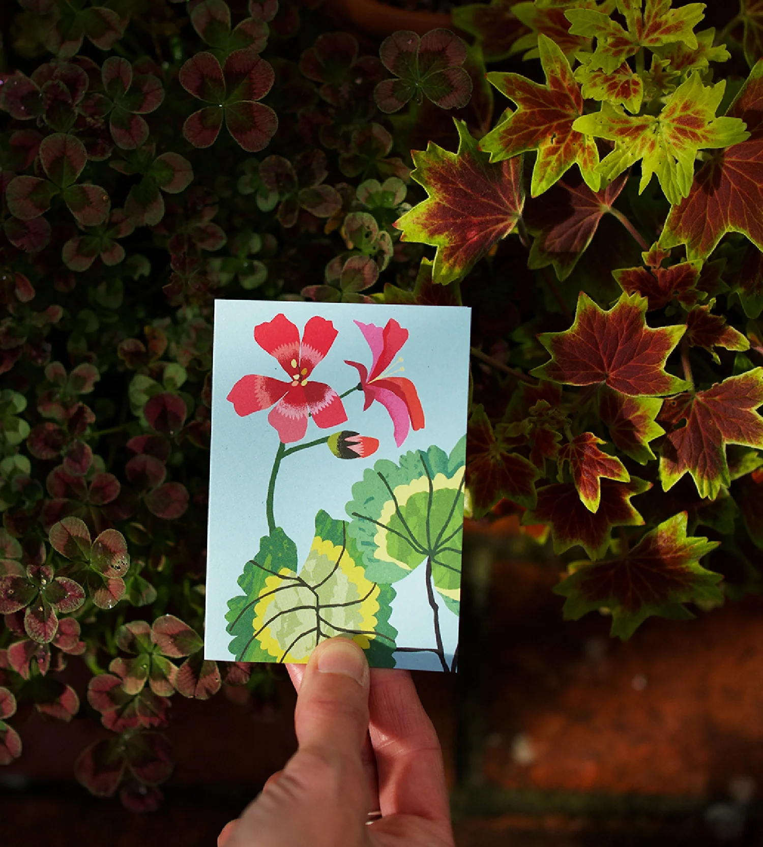 Pack of 8 'Geranium' Mini Greetings Cards - Image 2