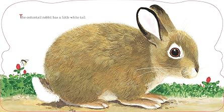 'Bunnies' Book - Image 2