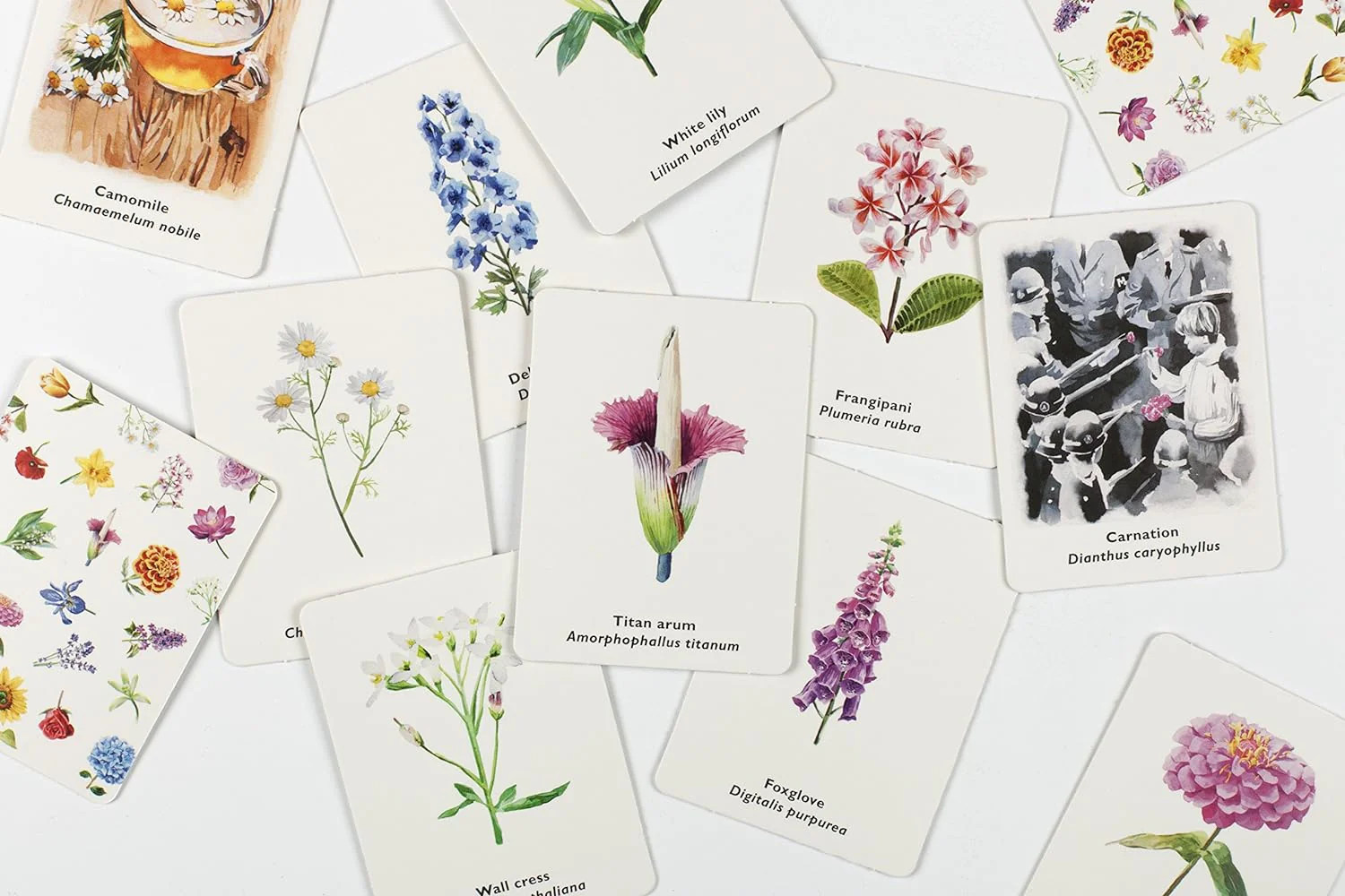 'Pick a Flower': A Memory Game - Image 2