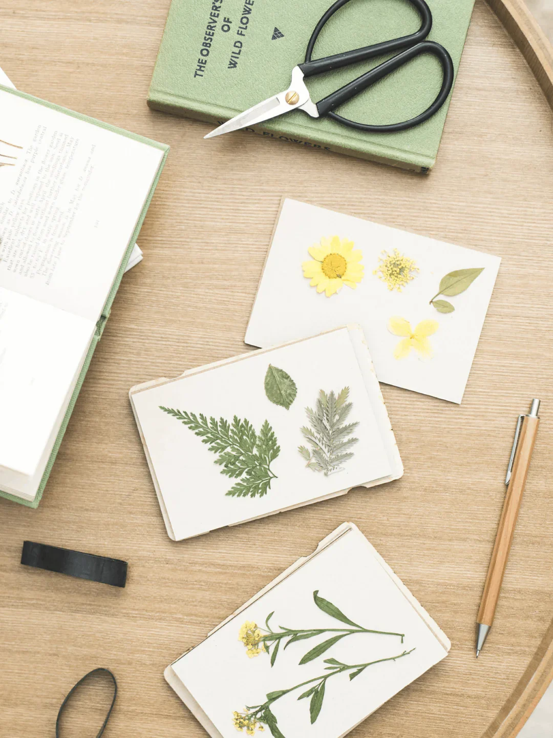 Pocket Flower Press - Forget Me Not - Image 3
