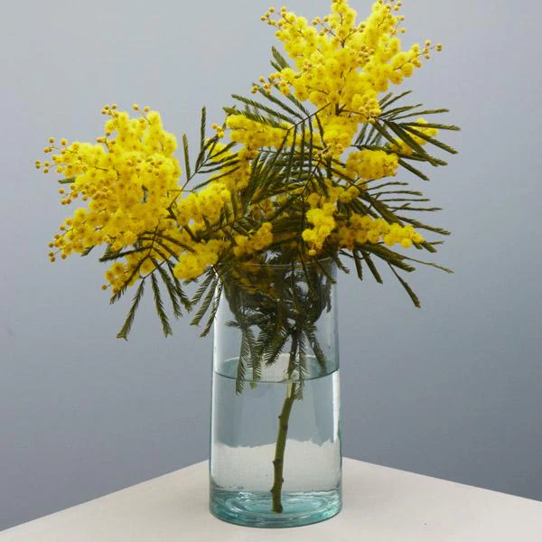 Recycled Glass Carafe - Image 3