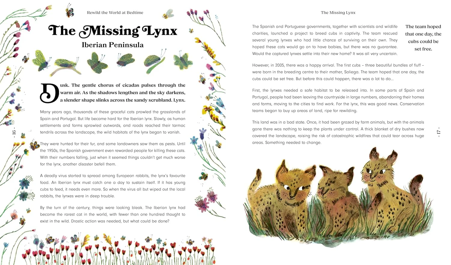 'Rewild the World at Bedtime' Kids Book - Image 3