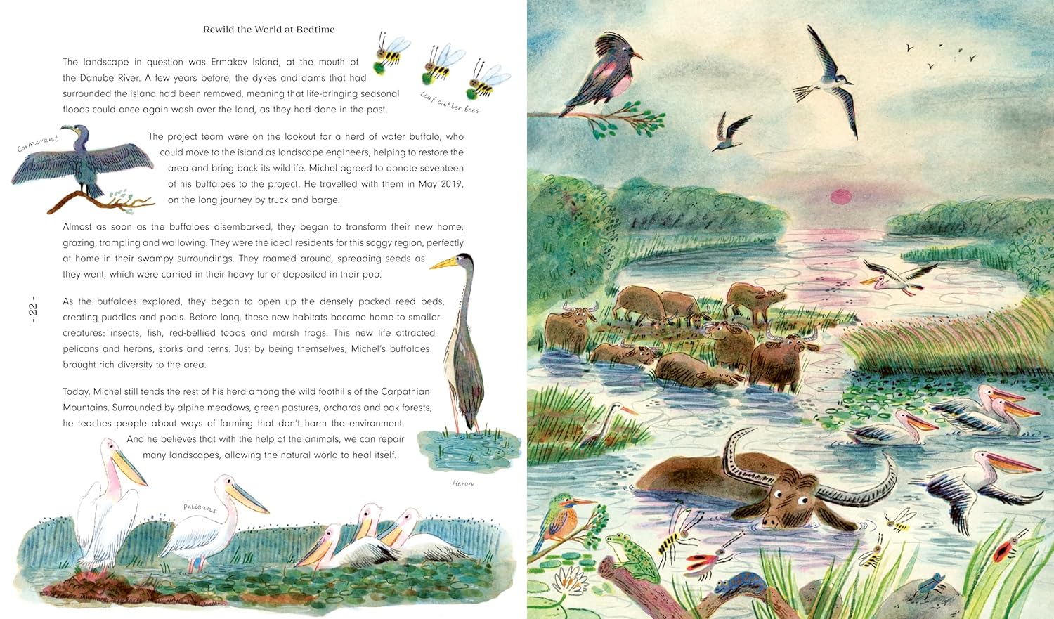'Rewild the World at Bedtime' Kids Book - Image 4