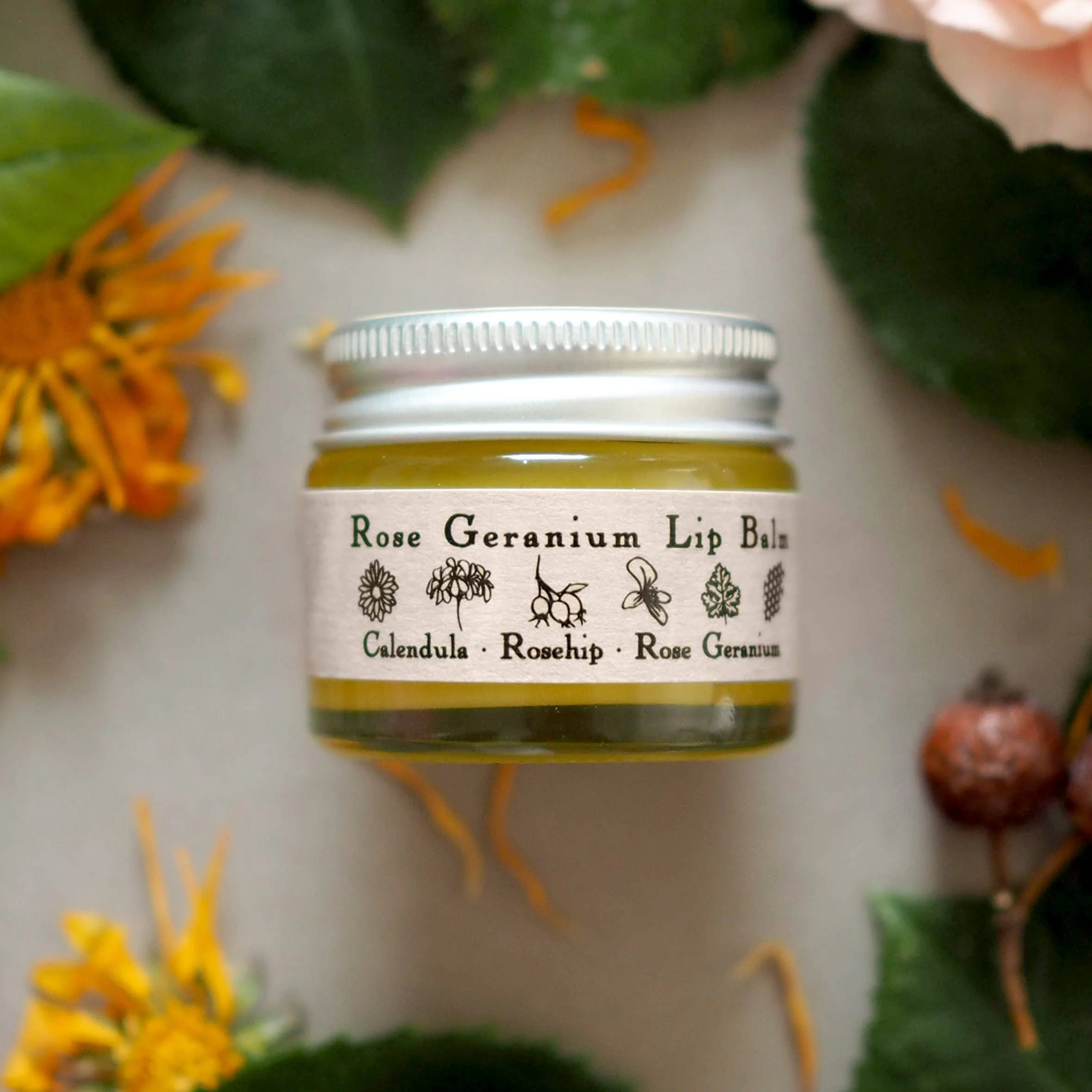 Rose Geranium Lip Balm | Organic Rosehip and Calendula - Image 2