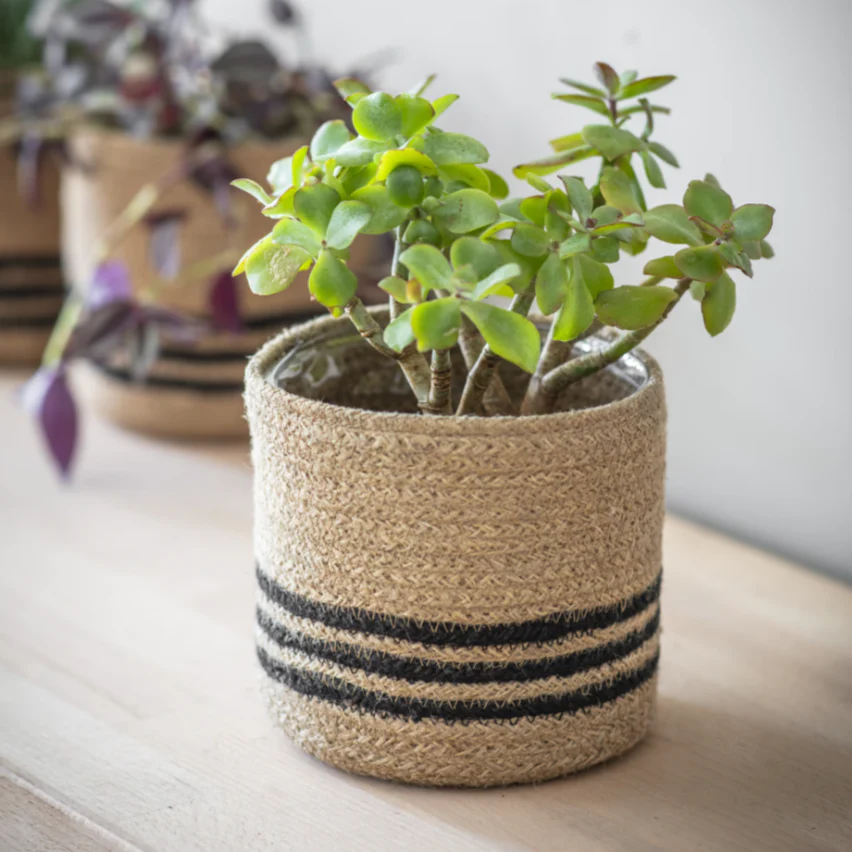 Striped Jute Planter