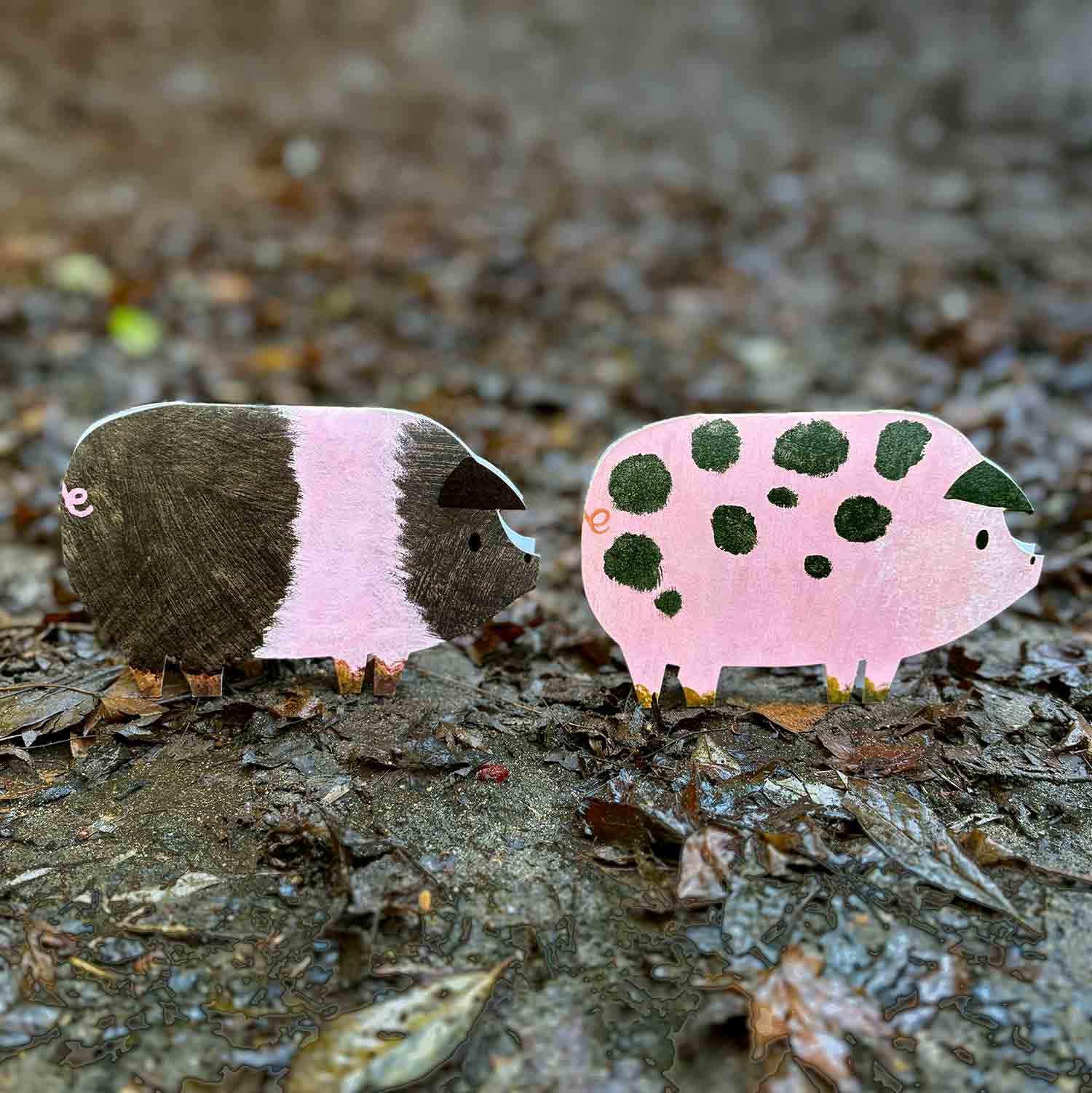 Striped Pig Shaped Greetings Card - Image 2