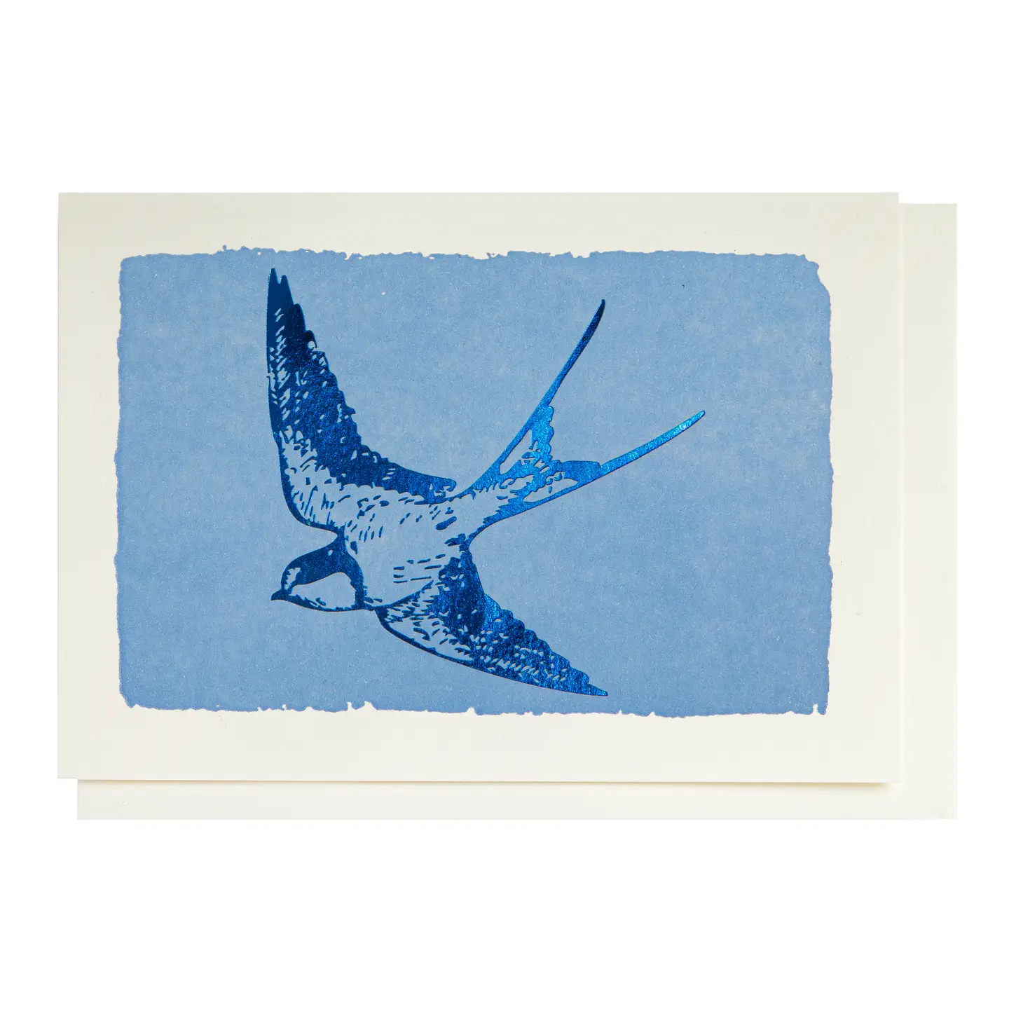 'Swallow' - Pack of 5 Greetings Cards