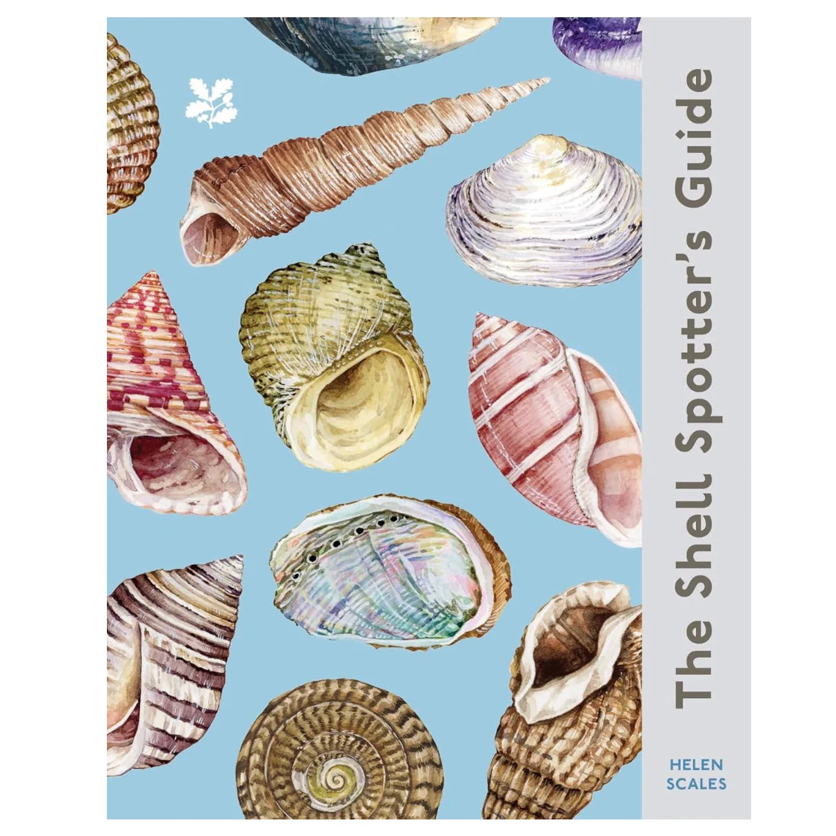 'The Shell Spotter's Guide' Book