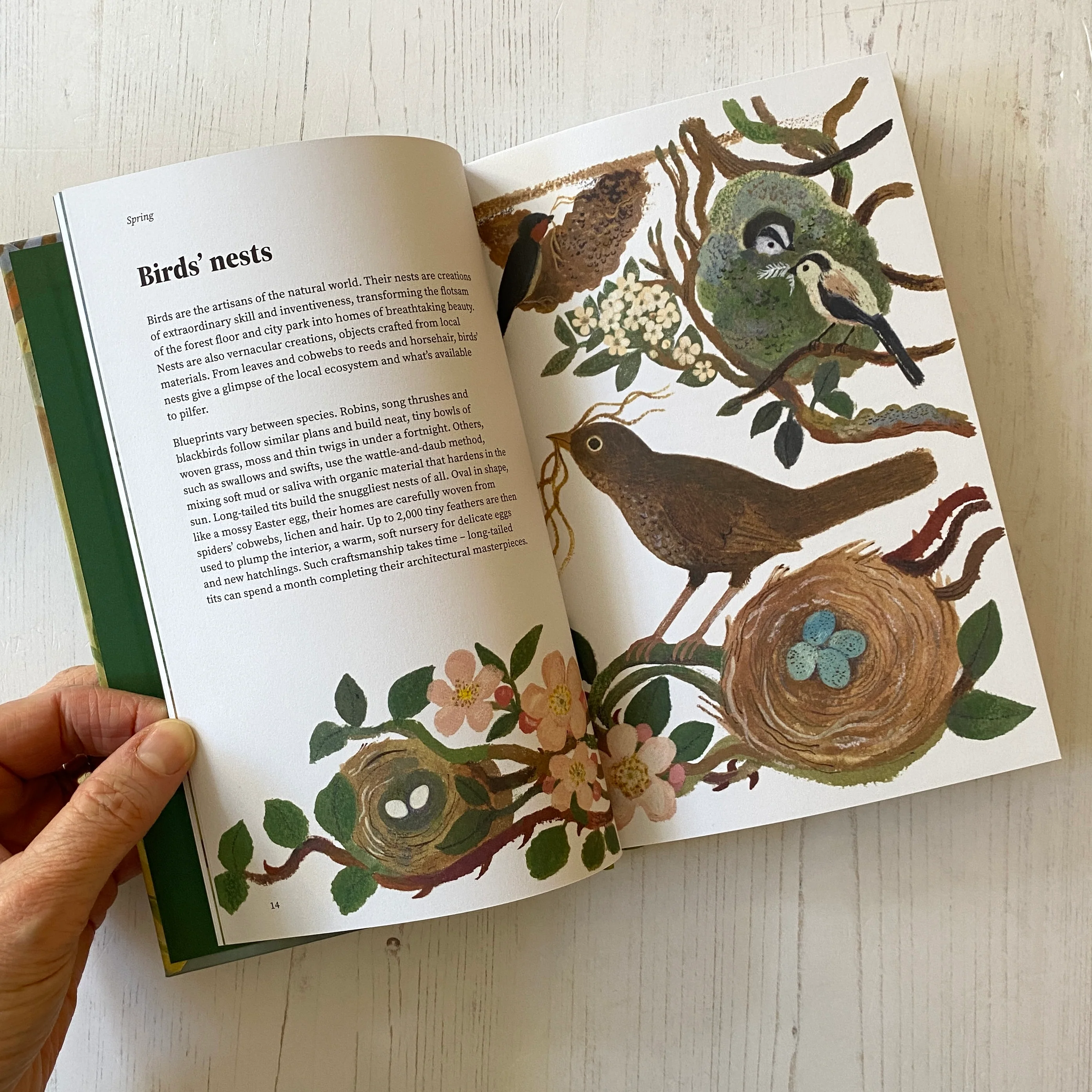 'The Wildlife Year' Book - Image 2
