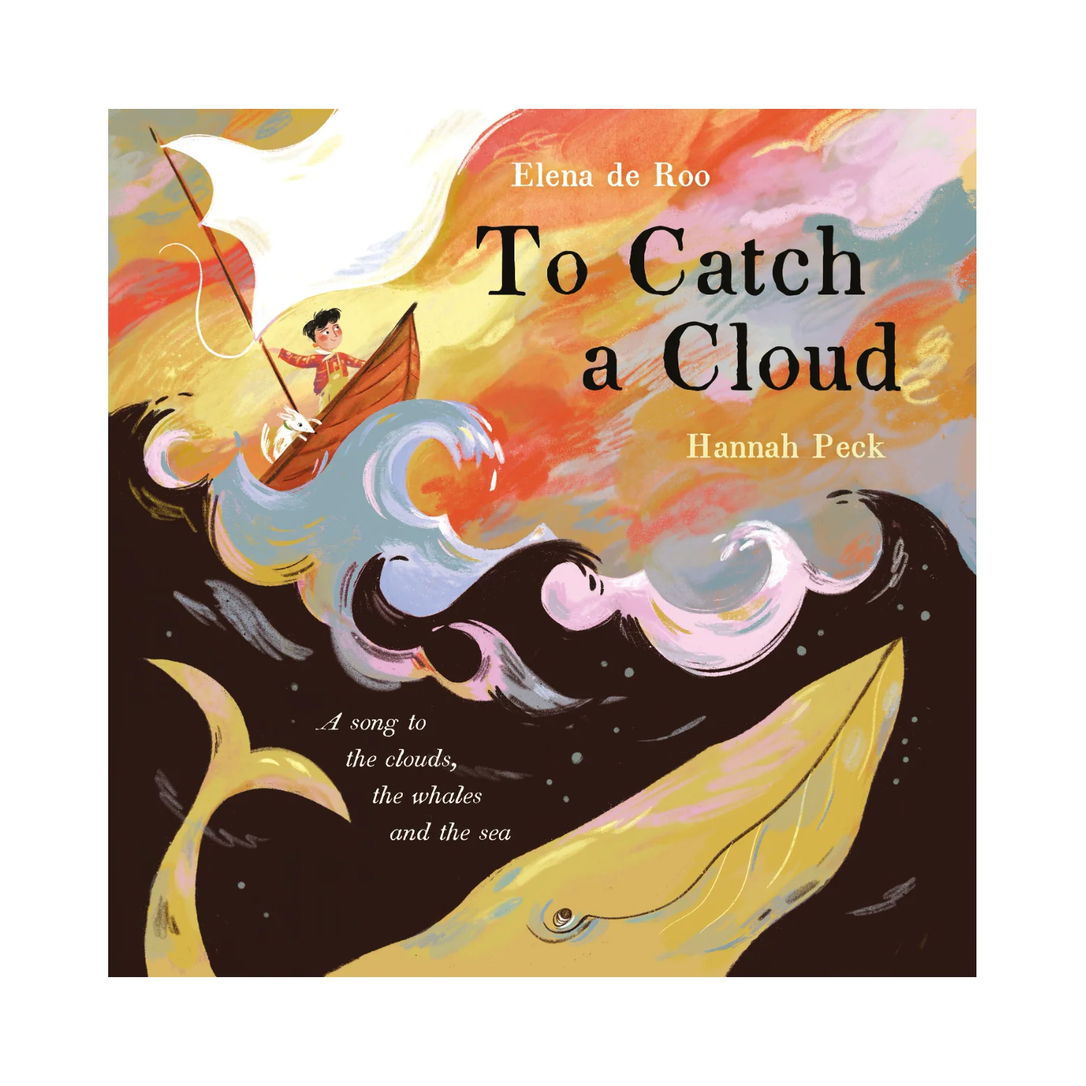 'To Catch a Cloud' Kids Book by Elena de Roo