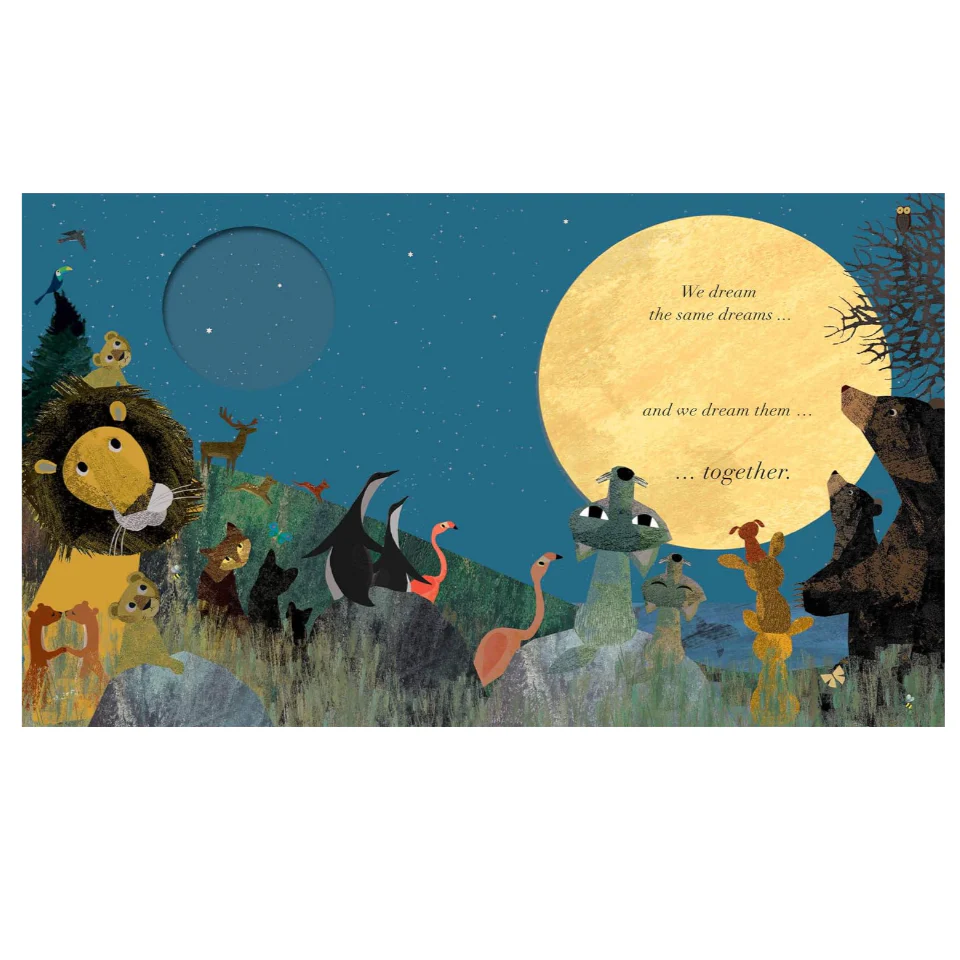 'Under the Same Sky' Book - Image 2