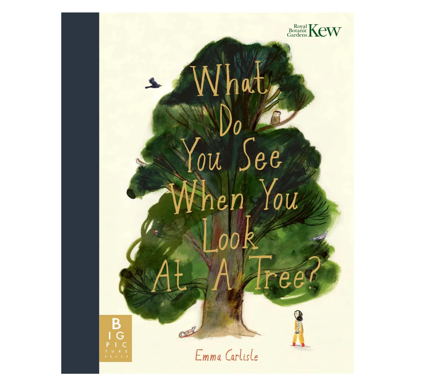 'What Do You See When You Look At a Tree?' Kids Book